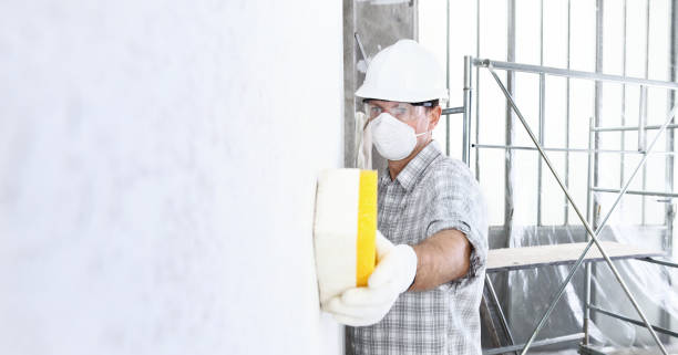 Why You Should Choose Our Mold Remediation Services in Mount Vernon, NY